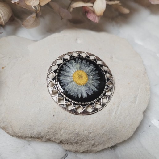 Broche vintage avec fleur séchée de Pâquerette.
