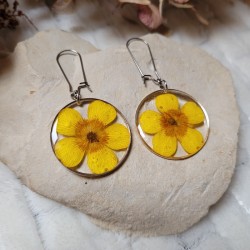 Boucles d'oreilles rondes avec fleurs séchées de Bouton d'Or.