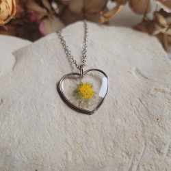 Pendentif coeur fleurs séchées de Pâquerette.