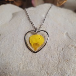Pendentif coeur fleurs séchées de Bouton d'Or.