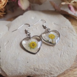 Boucles d'oreilles coeur fleurs séchées de Pâquerette.