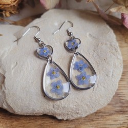 Boucles d'oreilles spéciales saint valentin, fleurs séchées de Myosotis.