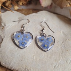 Boucles d'oreilles coeurs spéciale saint Valentin, avec fleurs séchées de Myosotis.