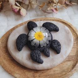 MARGUERITE, figurine tortue en résine et fleur séchée de Marguerite.