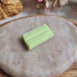 Magnet chewing-gum à la menthe en résine.