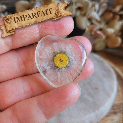 Worry Stones / Anti-Stress coeur en résine et fleur séchée de Pâquerette.