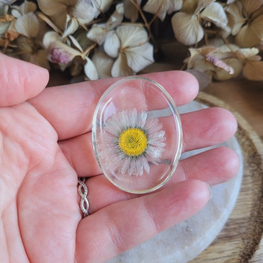 Worry Stones / Anti-Stress ovale en résine et fleurs séchées de Pâquerette.