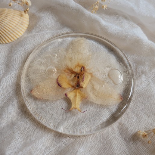 Dessous de verre en résine, diamètre 8.5 cm, et fleur séchée d'Orchidée.