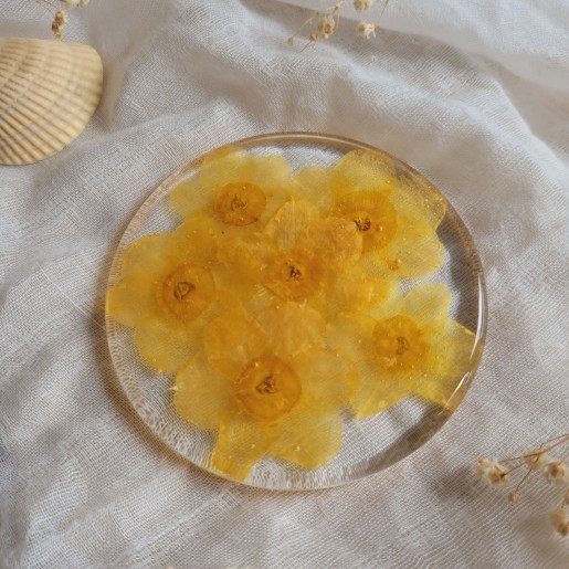 Dessous de verre en résine, diamètre 8.5 cm, et fleurs séchées de Jonquilles.