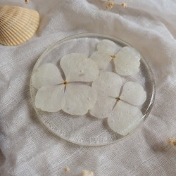 Dessous de verre en résine, diamètre 8.5 cm, et fleurs séchées d'Hortensia blanc.