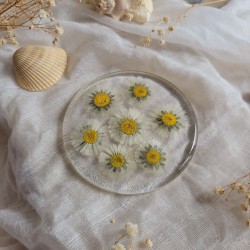 Dessous de verre en résine, diamètre 8.5 cm, et fleurs séchées de Pâquerette.