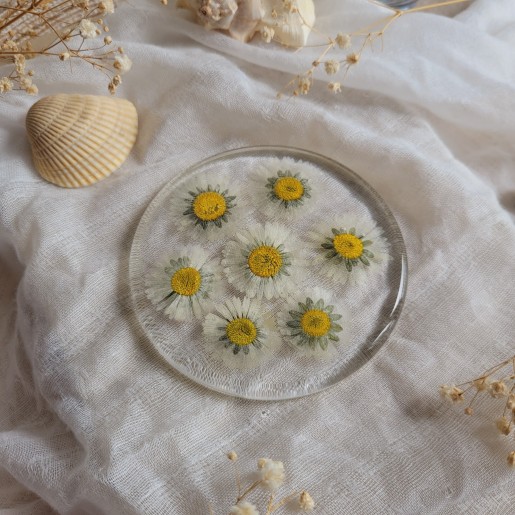 Dessous de verre en résine, diamètre 8.5 cm, et fleurs séchées de Pâquerette.