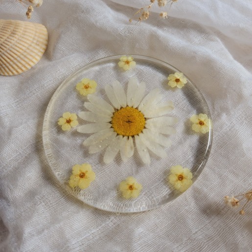 Dessous de verre en résine, diamètre 8.5 cm, et fleurs séchées de Marguerite et Spirée.