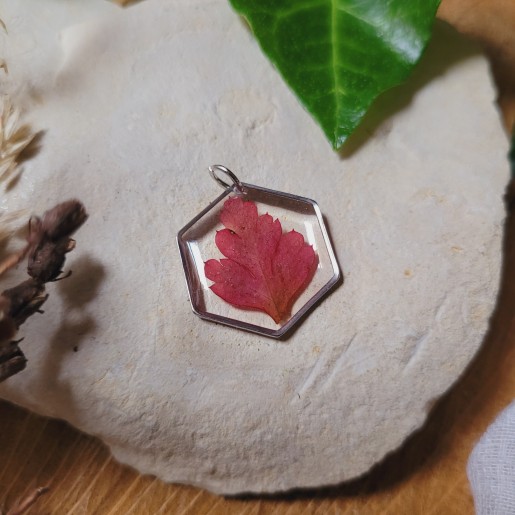 Pendentif hexagone fleurs et feuilles séchées naturelles en résine.